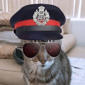 Meet your Posher, Kat